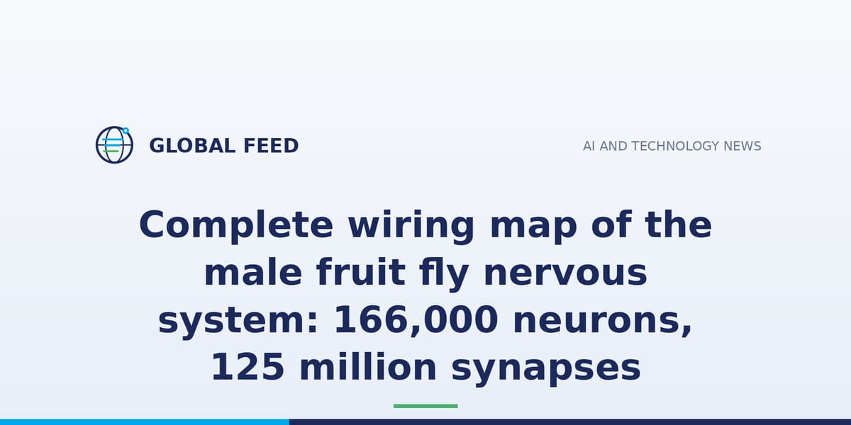 Complete wiring map of the male fruit fly nervous system: 166,000 neurons, 125 million synapses