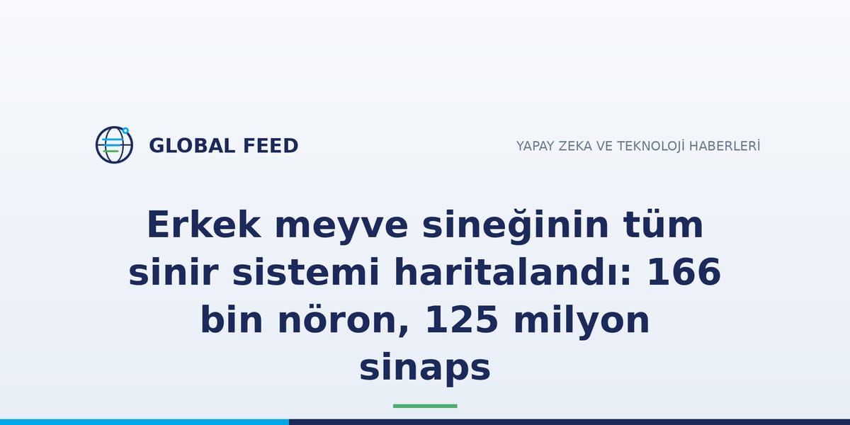 Erkek meyve sineğinin tüm sinir sistemi haritalandı: 166 bin nöron, 125 milyon sinaps