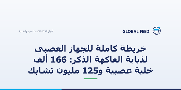 خريطة كاملة للجهاز العصبي لذبابة الفاكهة الذكر: 166 ألف خلية عصبية و125 مليون تشابك