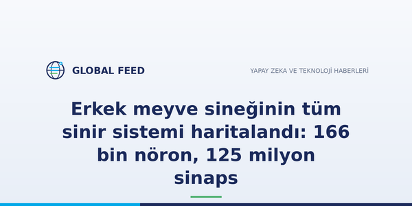 Erkek meyve sineğinin tüm sinir sistemi haritalandı: 166 bin nöron, 125 milyon sinaps